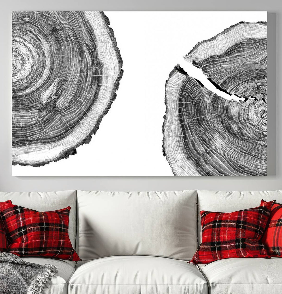 The minimalist art piece Abstract Large Tree Rings on canvas creates a striking focal point.