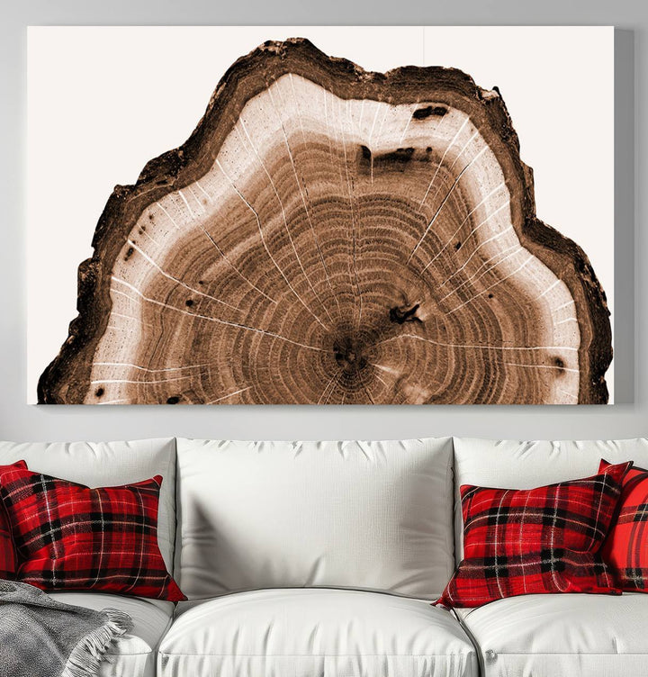 Rustic Wood Rings Wall Art | Nature-Inspired Tree Ring Canvas Print | Ready to Hang and Framed for Farmhouse Wall Decor