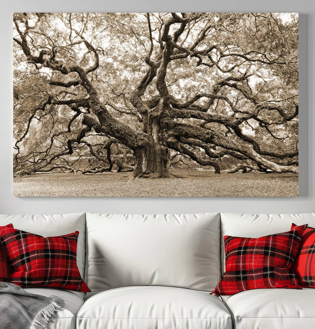 Displayed on the wall is a Sepia-framed Angel Oak Tree 3-panel canvas.