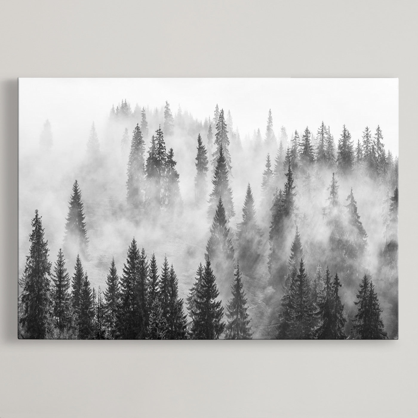 10422-MGV-CV-36X24-Forest Wall Art Print | Foggy Pine Forest Canvas Wall Art - Black and White Nature Decor for Living Room