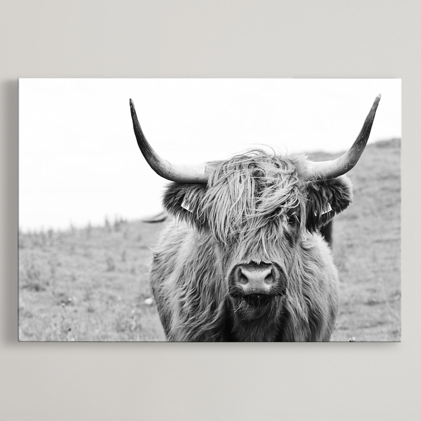 16248-MGV-CV-36X24-Newfoundland Cow Art Wall Art, Black White Cow Art Wall Art Canvas Print