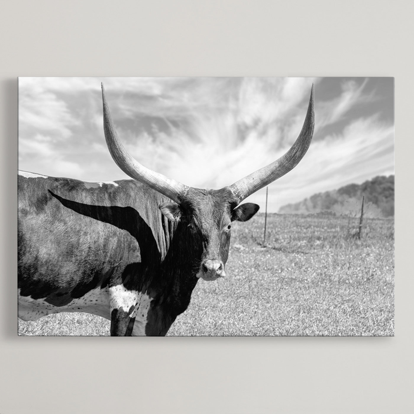 30017-MGV-CV-36X24-Cattle Wall Art Longhorn Cow Canvas Print