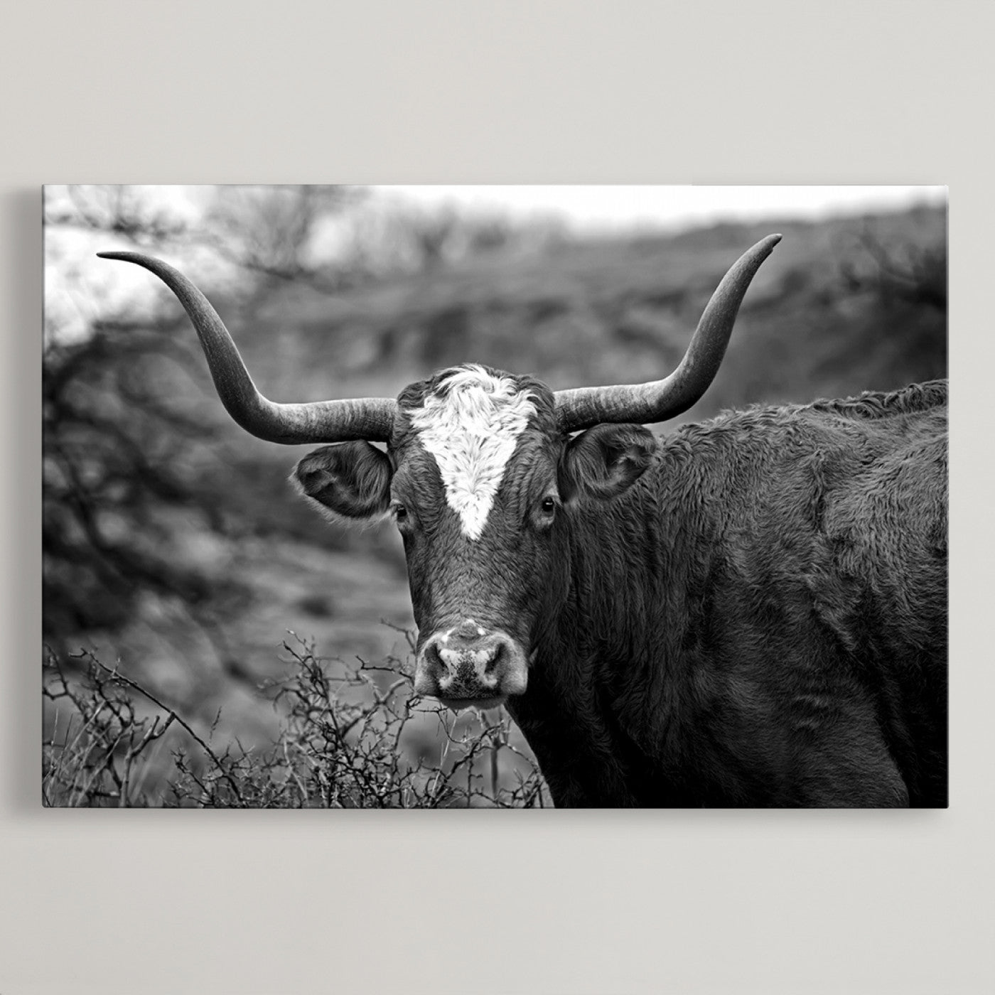 76200-MGV-CV-36X24-Western Home Wall Art Canvas Print, Framed Texas Longhorn Art Picture Print, Rustic Cow Perfect Rustic Farmhouse Decor Artwork