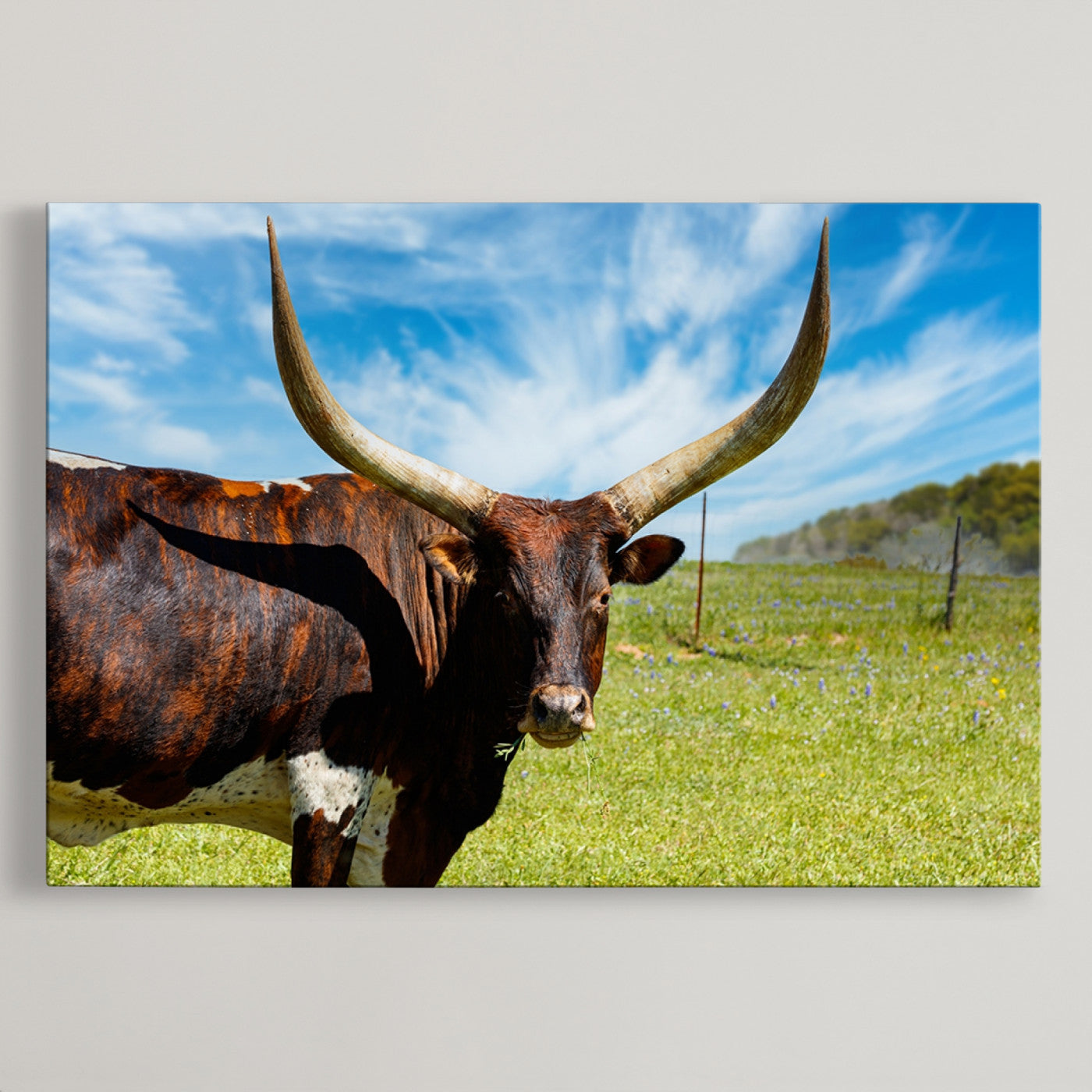 47037-MGV-CV-36X24-Longhorn and Cow Wall Art, Country Cow Wall Decor Canvas Print