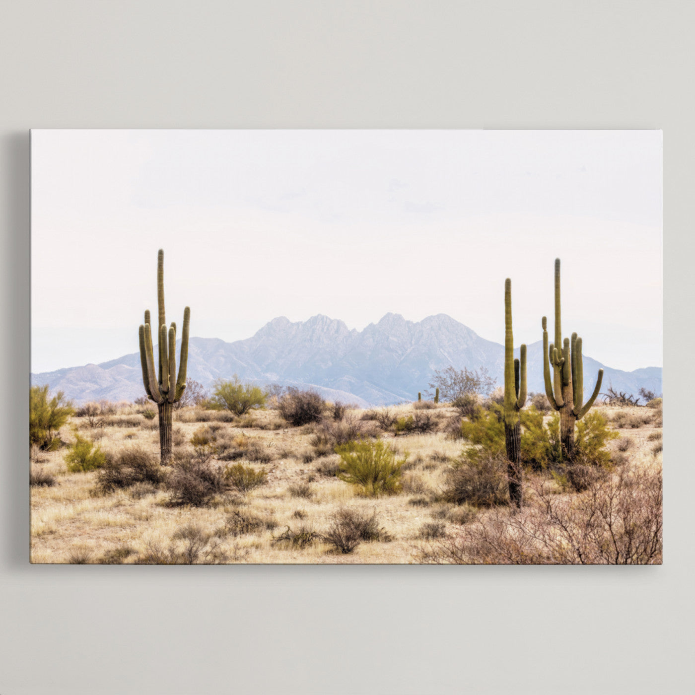 97436-MGV-CV-36X24-Arizona Desert Wall Art Print | Arizona Desert Canvas Print with Saguaro Cacti | Southwestern Landscape Wall Art | Framed Farmhouse Decor