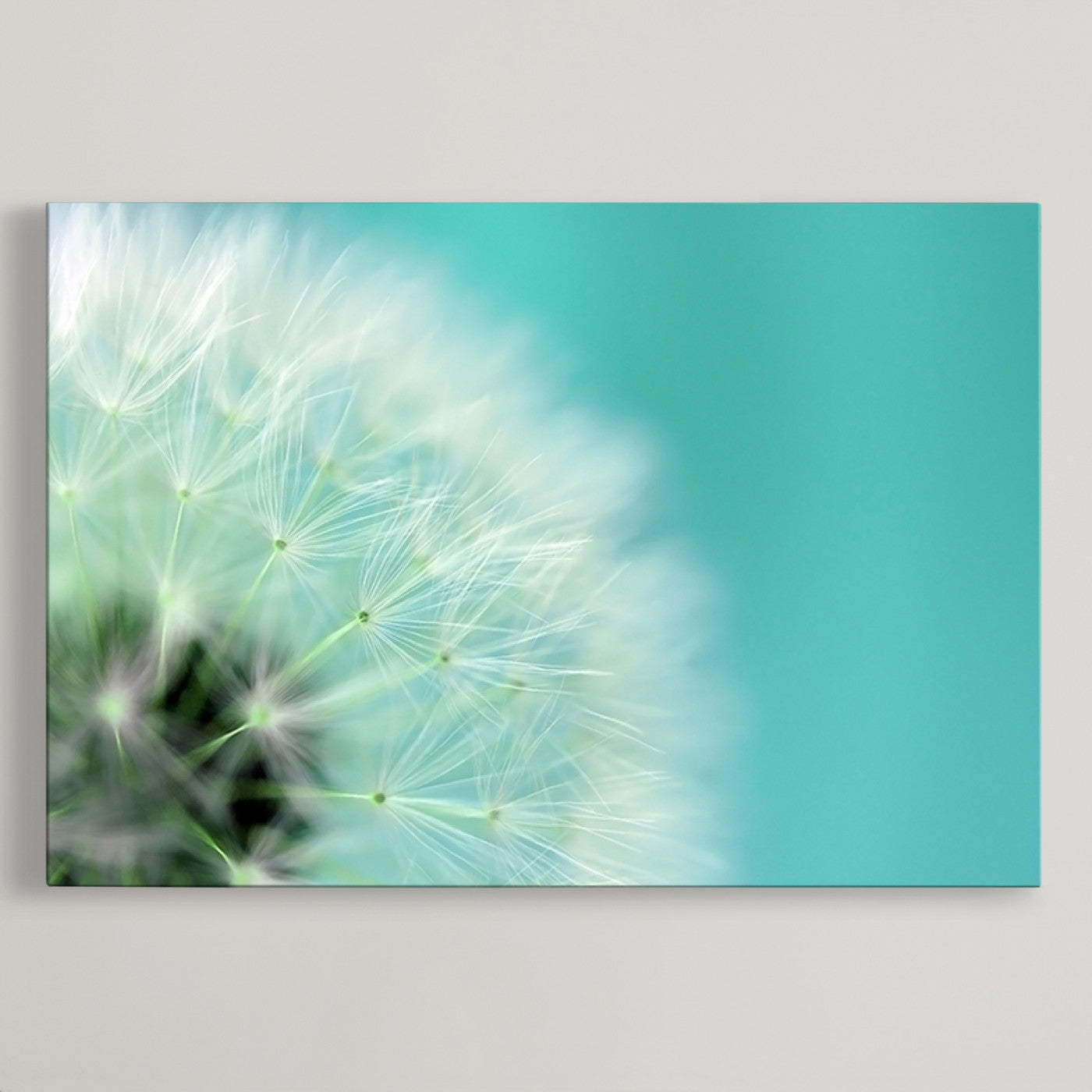 26056-MGV-CV-36X24-DANDELION Flower Wall Art Canvas Print, Canvas Dandelion Floral Wall Art