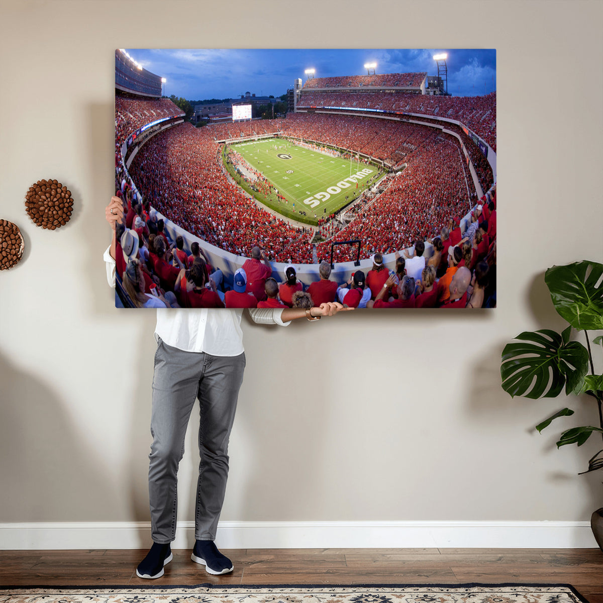 10244378-MGV-CV-36X24 - Dooley Stadium Wall Art, Sports Arena Canvas Print, Dooley Field, Home Bar Wall Decor