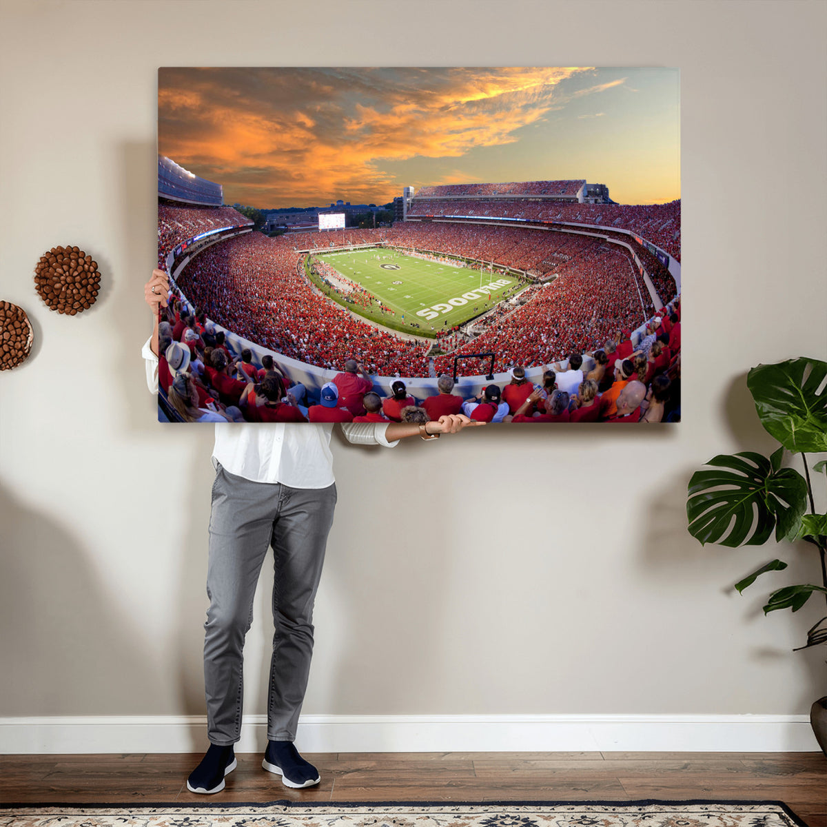 73680988-MGV-CV-36X24 - Dooley Stadium Wall Art, Sports Arena Canvas Print, Dooley Field, Framed and Ready to Hang