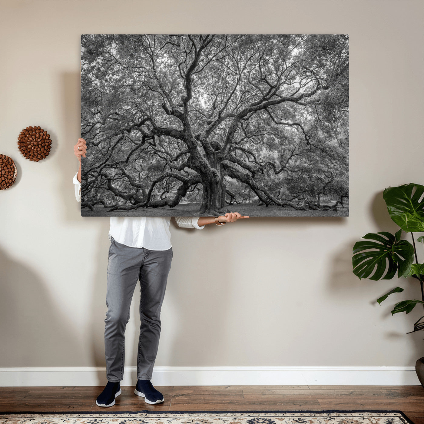97240-MGV-CV-36X24 - Large Angel Oak Tree Black and White Canvas Print