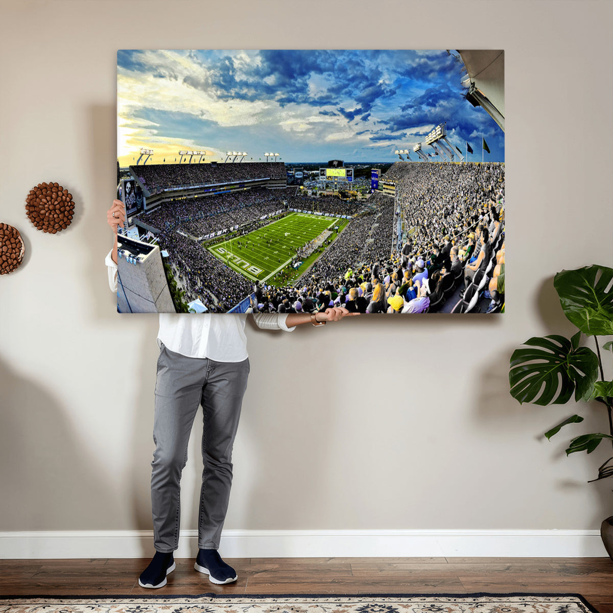 23788-MGV-CV-36X24 - Framed USF Bulls Football Team Print - Tampa Raymond James Stadium Wall Art Canvas Print