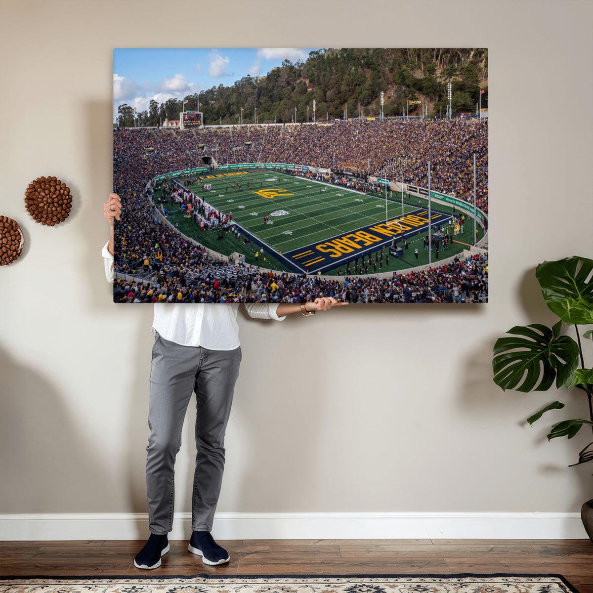 38054-MGV-CV-36X24 - University of California Golden Bears Football Team Print - Berkeley California Memorial Stadium Art