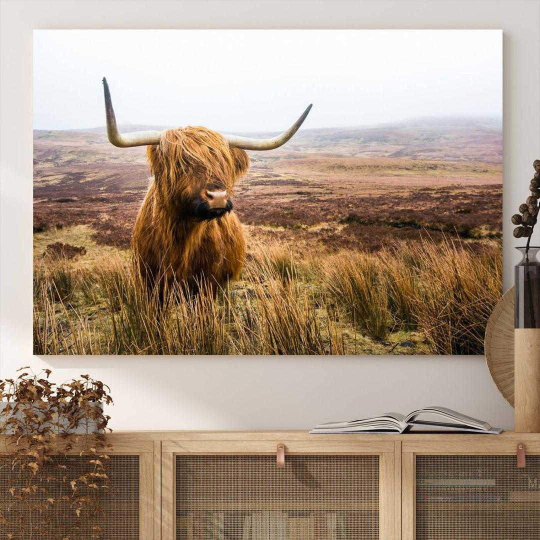 A ready-to-hang Scottish Highland Cow Cattle Canvas Wall Art.