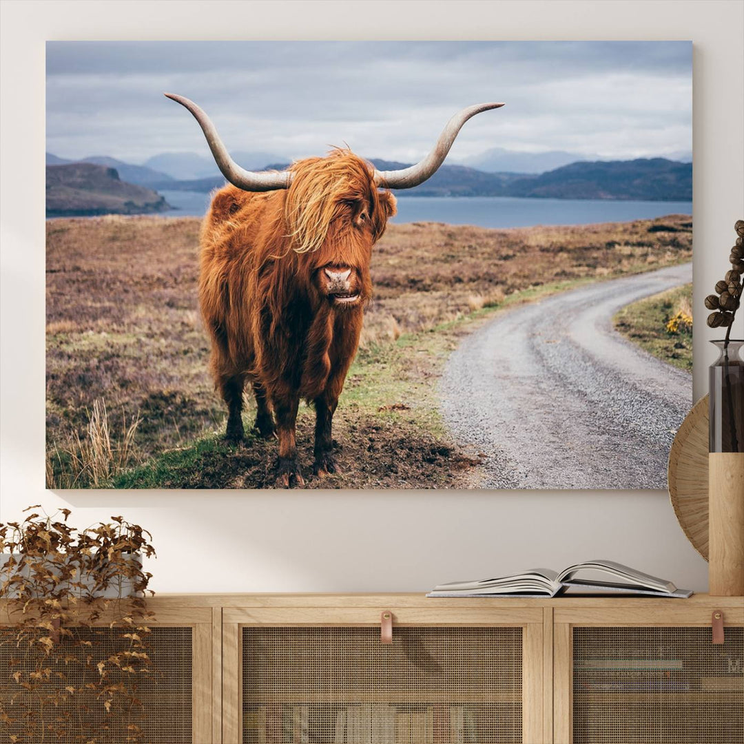 The Longhorn Highland Cow Canvas Wall Art is prominently displayed.