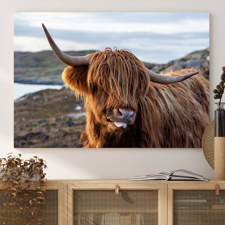 The Cuddly Highland Cow Canvas hangs, adding charm with its shaggy elegance.