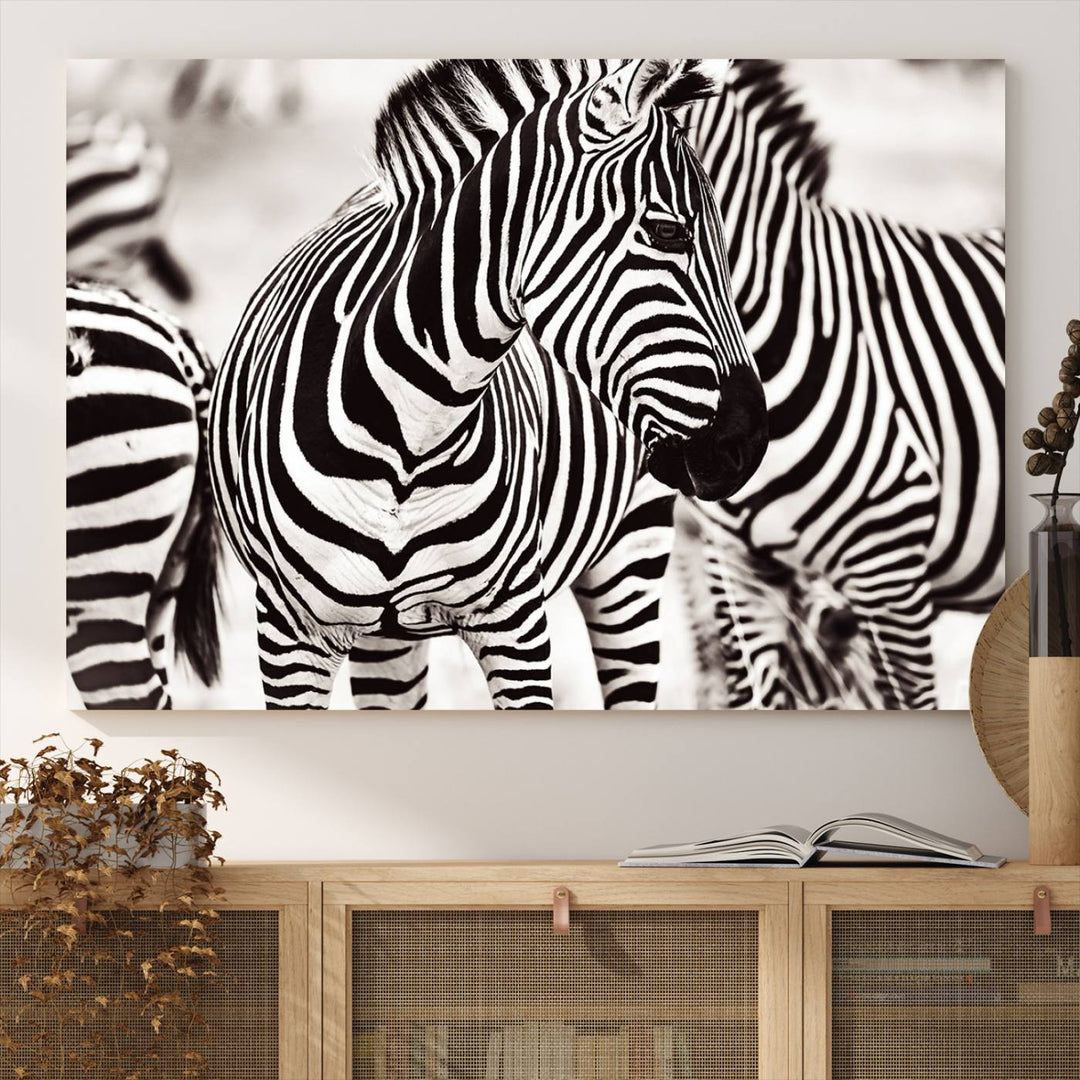 The Brilliant Zebra Photography Art Canvas Print hangs prominently on the wall.