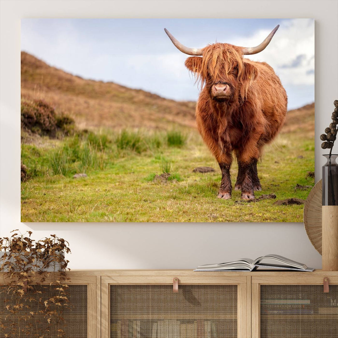 A Highland Cow Animal Canvas Wall Art hangs on the wall, adding warmth to the room.