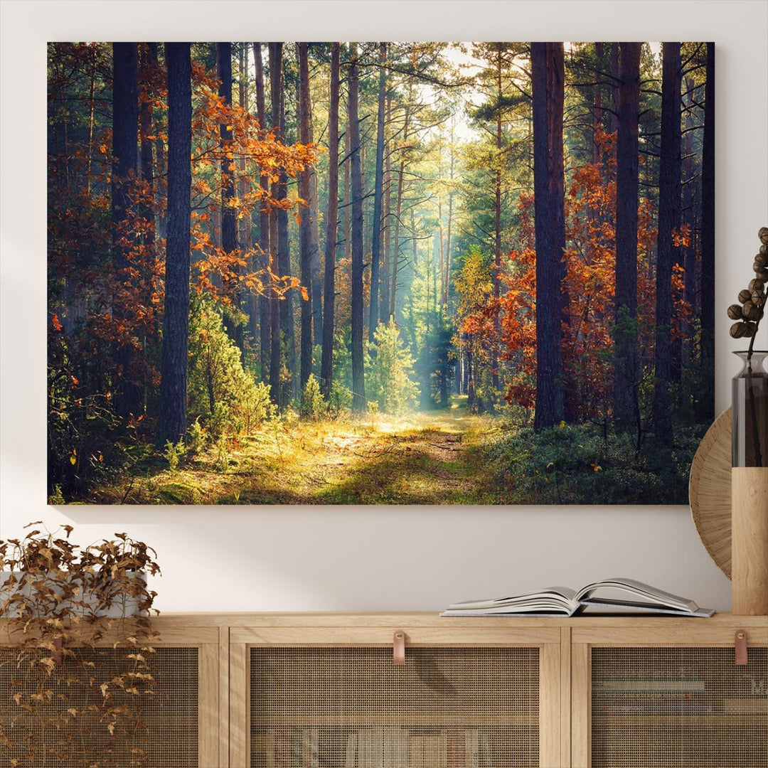 The Dark Forest canvas wall art showcases a captivating forest landscape.