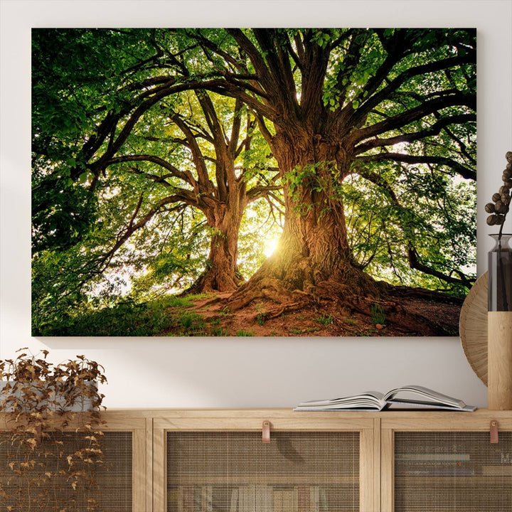 Majestic Ancient Tree Wall Art is illuminated by sunlit forest rays.