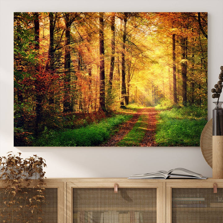 The Sunlight Through Trees Wall Art Canvas Print showcases a sunlit autumn forest and includes UV protection to ensure lasting vibrance.