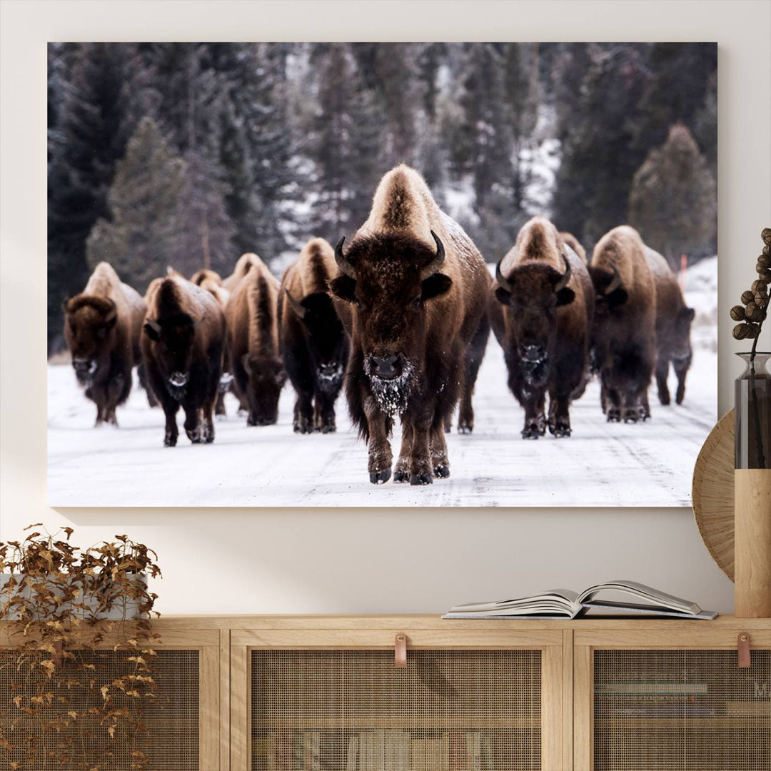 Bison Herd Canvas Wall Art.