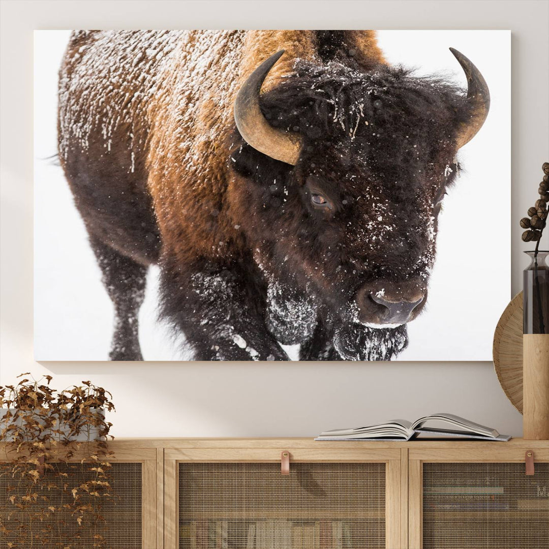 Bison Wall Art Canvas.