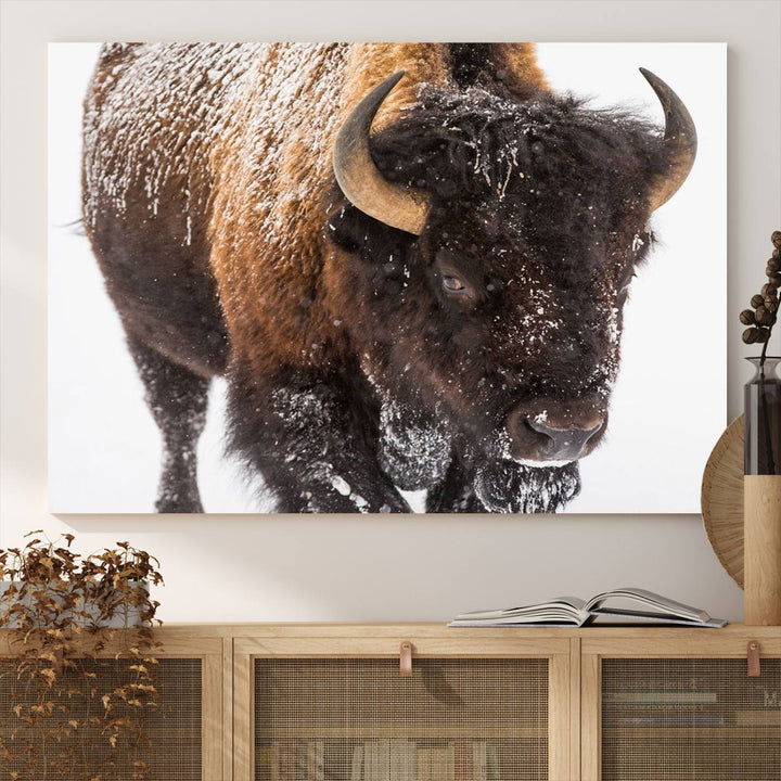 Bison Wall Art Canvas.