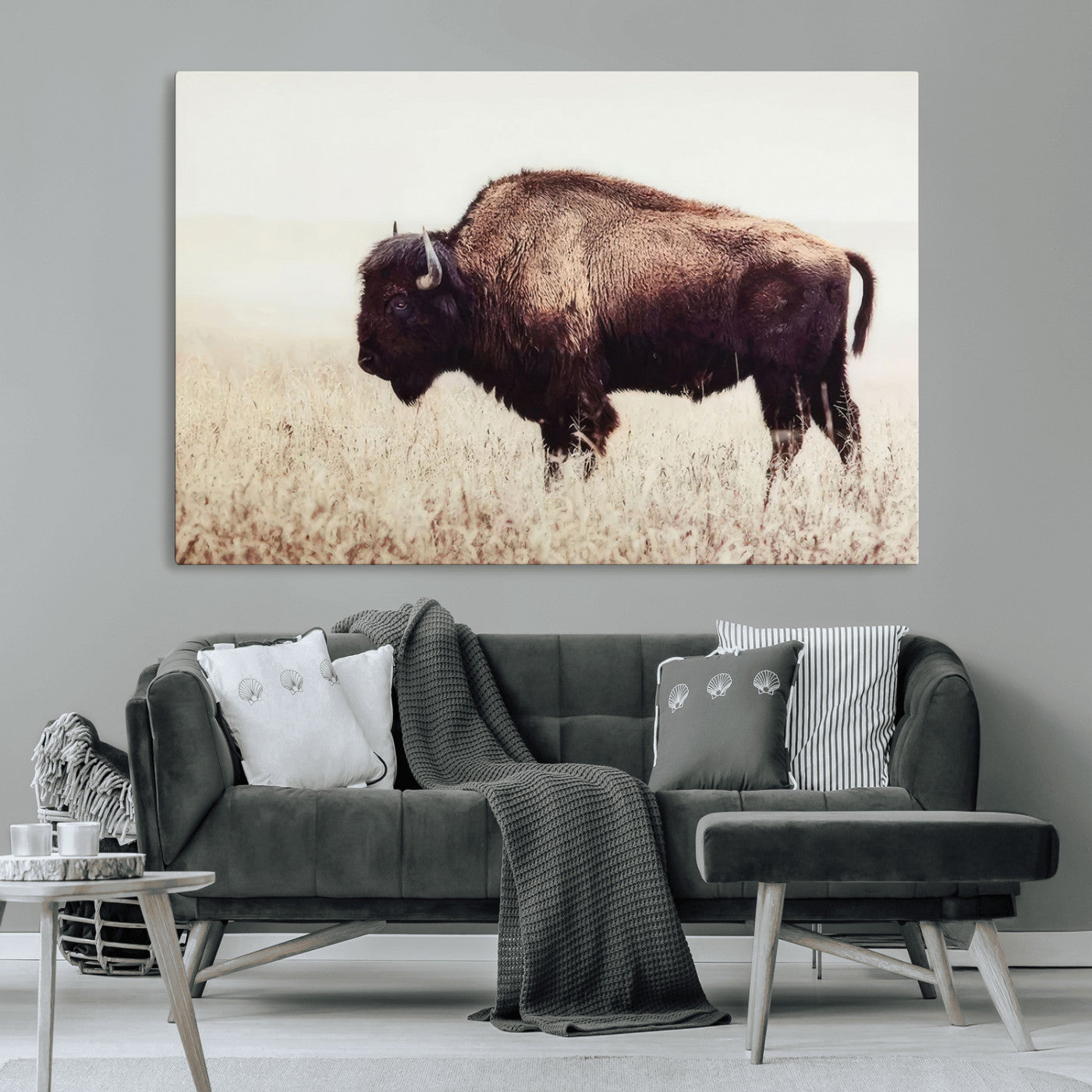 MGV-CV-36X24 - Bison in Field Wall Art Canvas Print For Farmhouse Barn Decor