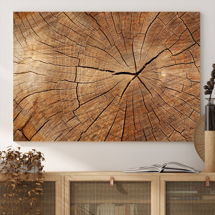 Tree Ring Canvas Art decorates a textured wall.