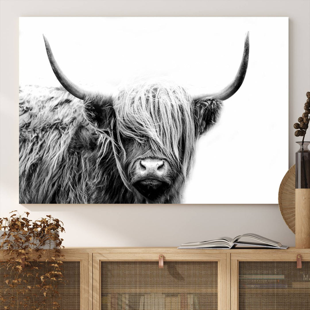 Framed Black and White Scottish Highland Cow Art Print.