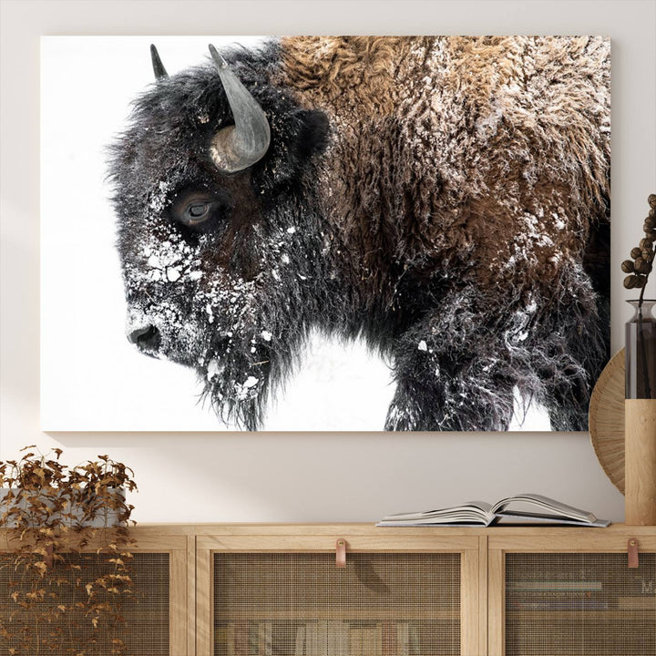 The American Bison Wall Art Print is prominently displayed on the wall.