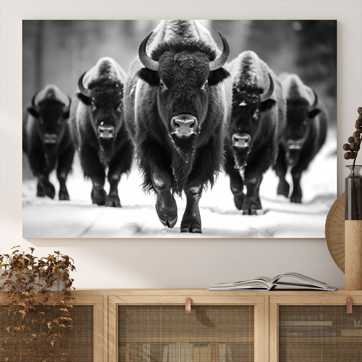 A black and white American Bison herd canvas print adorns the wall.