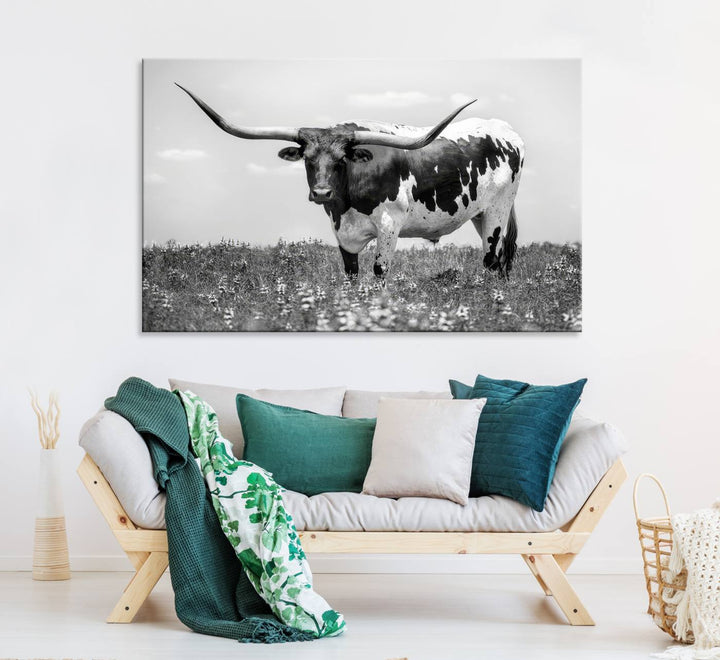 Texas Black White Highland Longhorn Cow Wall Art Canvas displayed on the wall.