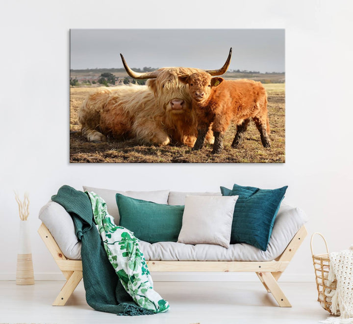 Highland Cow Canvas: a light brown cow and calf in the field, ideal farmhouse decor.