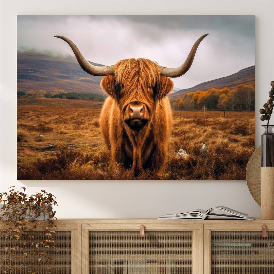 Highland Cow Longhorn Canvas Print, framed, on a wooden wall.