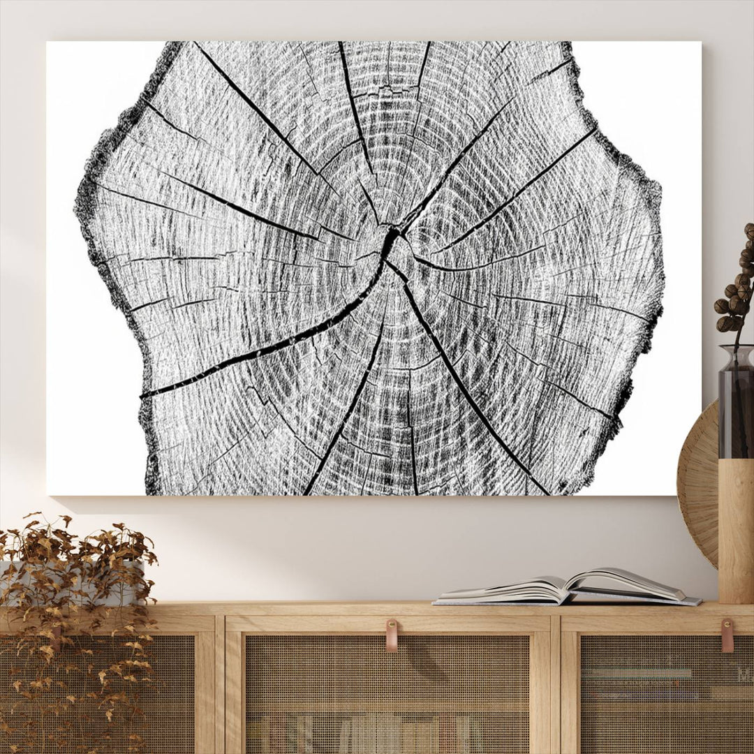 Black and white tree ring art print.