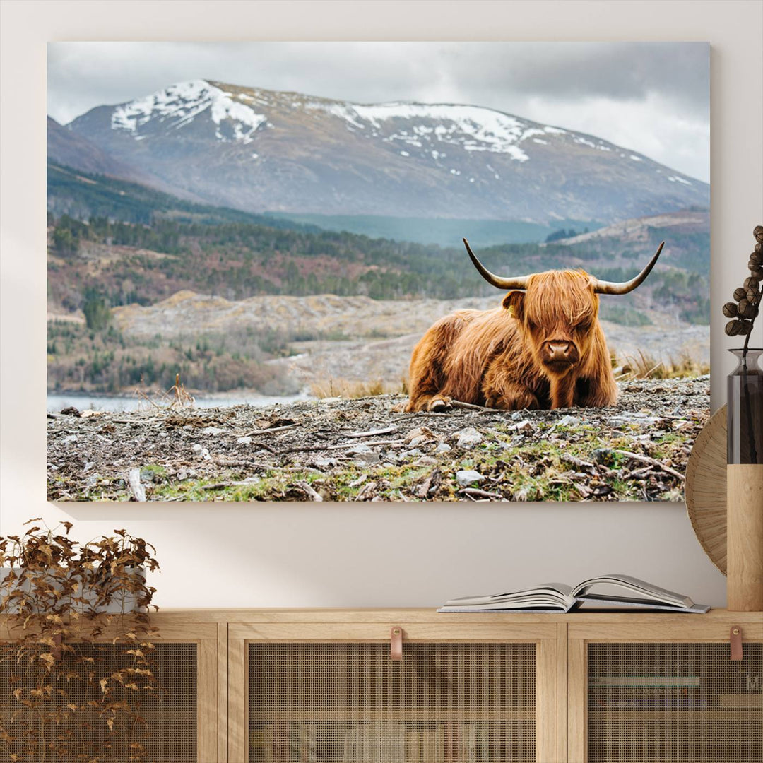 Highland Cow Horn Farm Wall Art Canvas Print is displayed against a wooden wall featuring a mountainous backdrop.