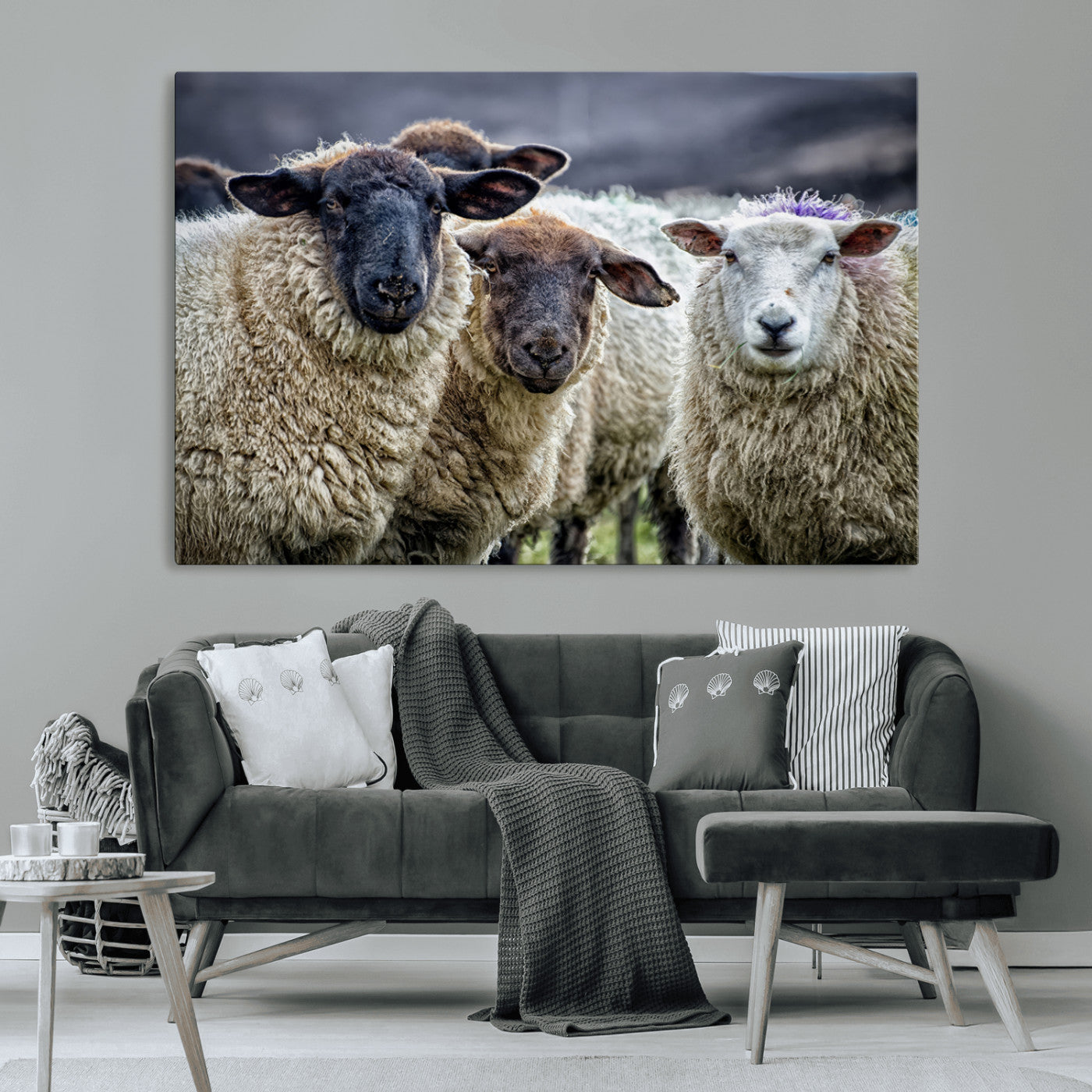 -Charming Sheep Portrait Wall Art – Trio of Woolly Companions Canvas Print, Framed, Ready to Hang