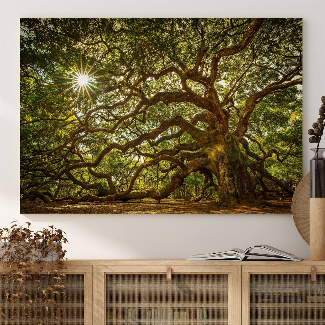 The Ancient Angel Oak Tree Art Sunburst Canvas Print, a framed triptych, serves as wall art.