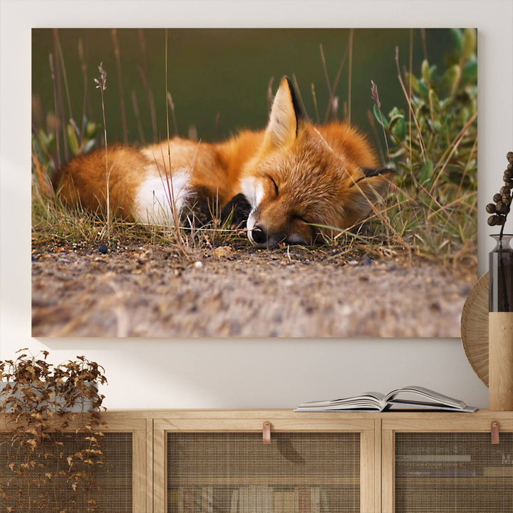 The Sleeping Fox Wall Art Canvas Print is ideal for farmhouse decor.