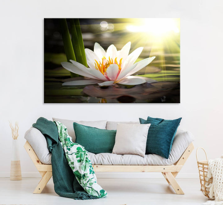 The Lotus Flower Wall Art Canvas Print showcases a white water lily with a yellow center floating gracefully in sunlight.