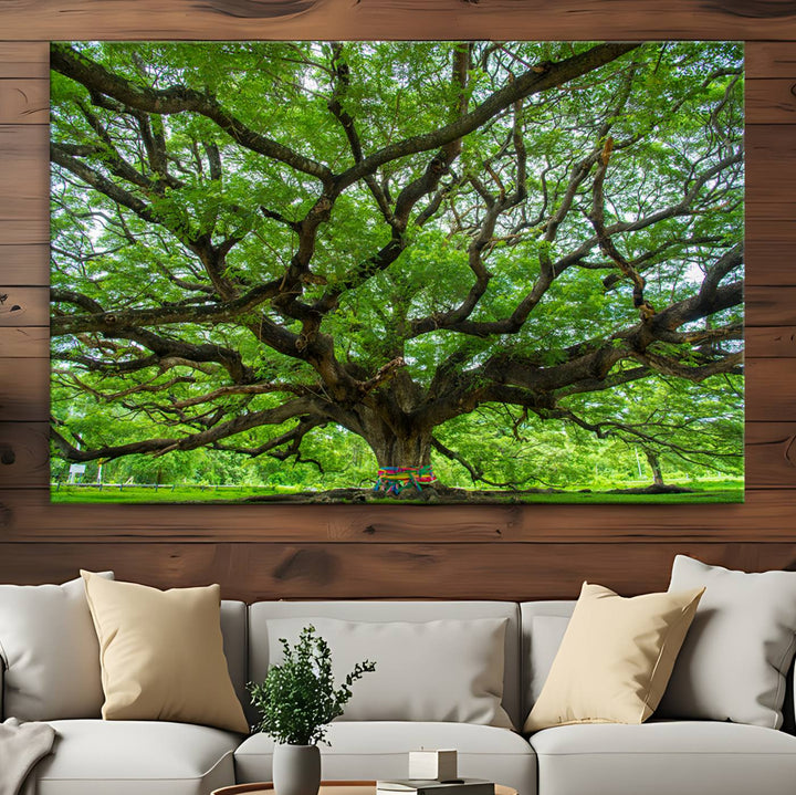 Oak Tree Wall Art Print, Forest Canvas Wall Art for Home and Office, Framed Angel Oak Tree Canvas Art Printing