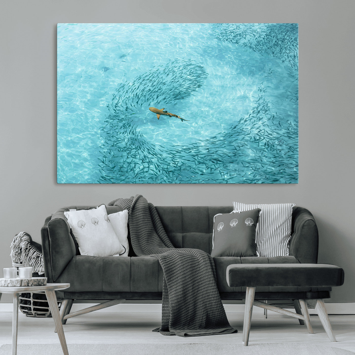 Aerial view of a shark swimming through a swirl of fish in clear turquoise waters, perfect for calm coastal or beach house decor.