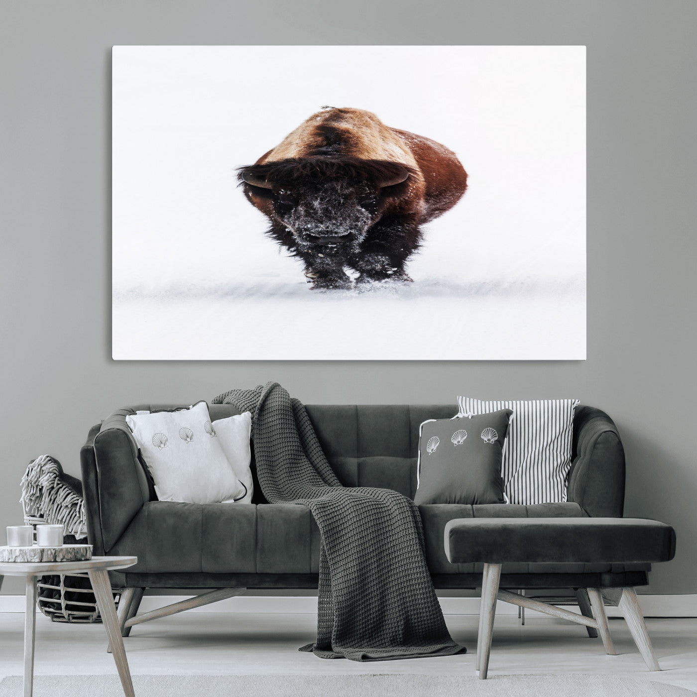 Front view of a strong bison walking in deep snow, isolated white background, perfect for rustic or lodge-style home decor.