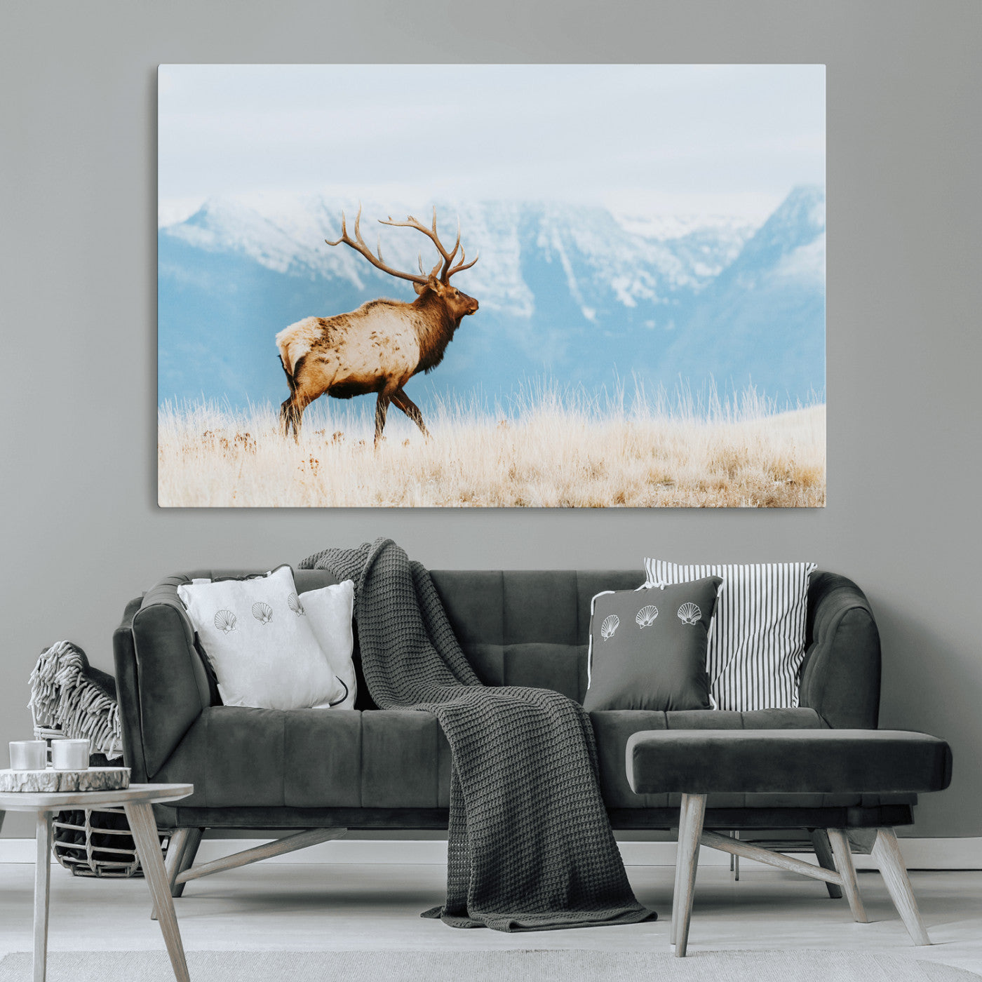Majestic elk with antlers walking on golden grass, snowy mountains behind, perfect for rustic lodge or Scandinavian decor.