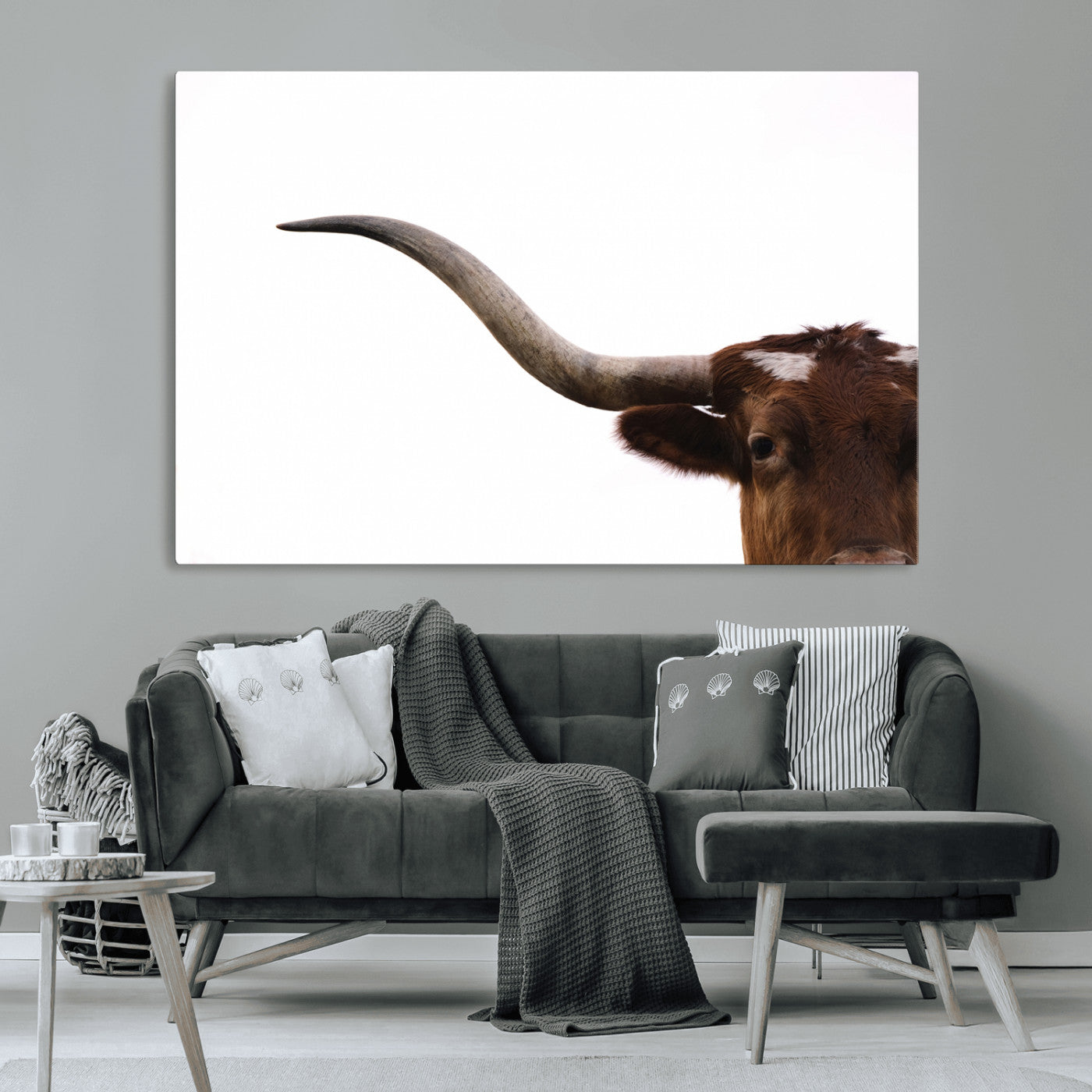 Close-up of Texas Longhorn horn and eye on white background, perfect for minimalist or modern farmhouse style wall decor.