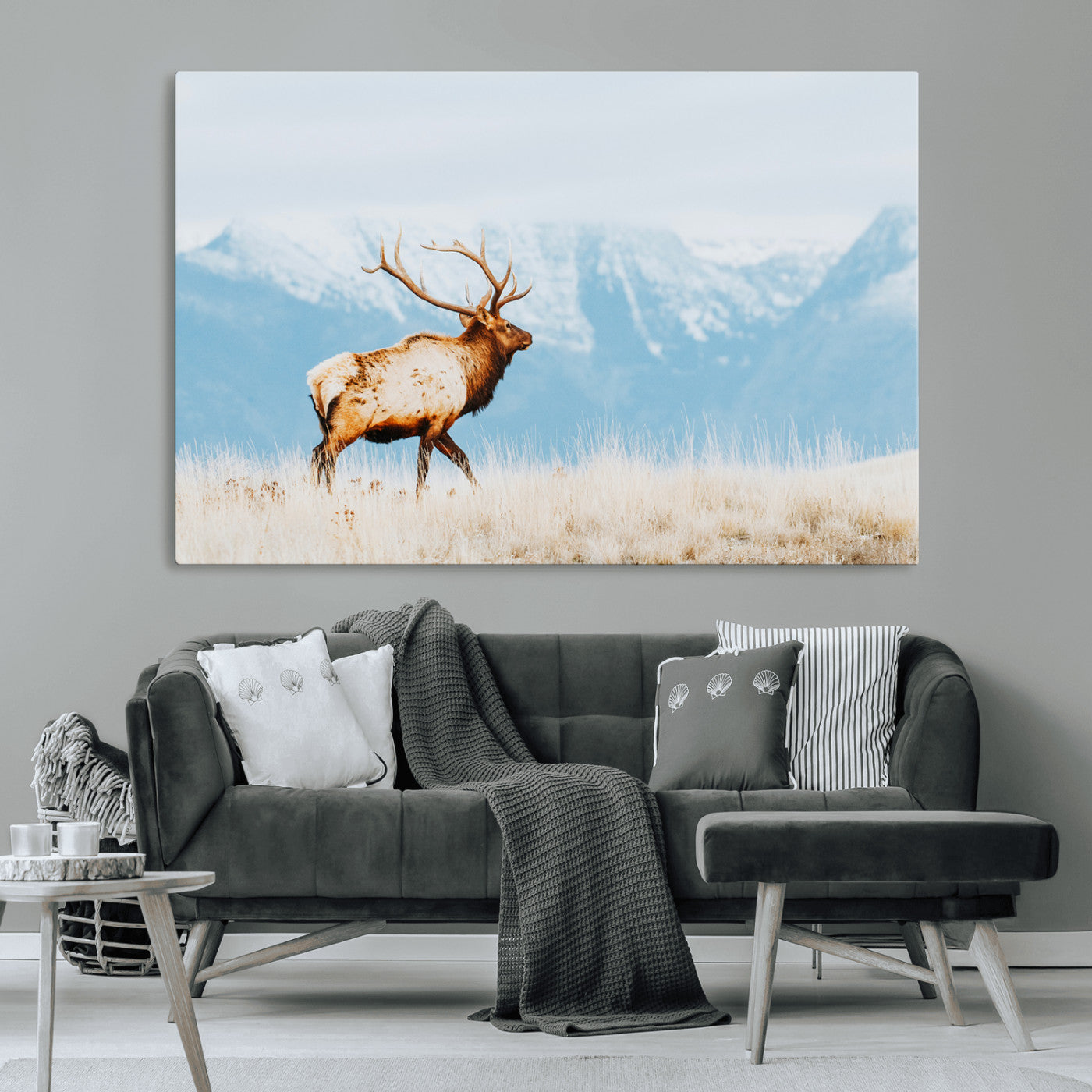 Majestic elk standing on dry grassland with snowy mountains in the background, ideal for rustic or lodge-inspired wall decor.