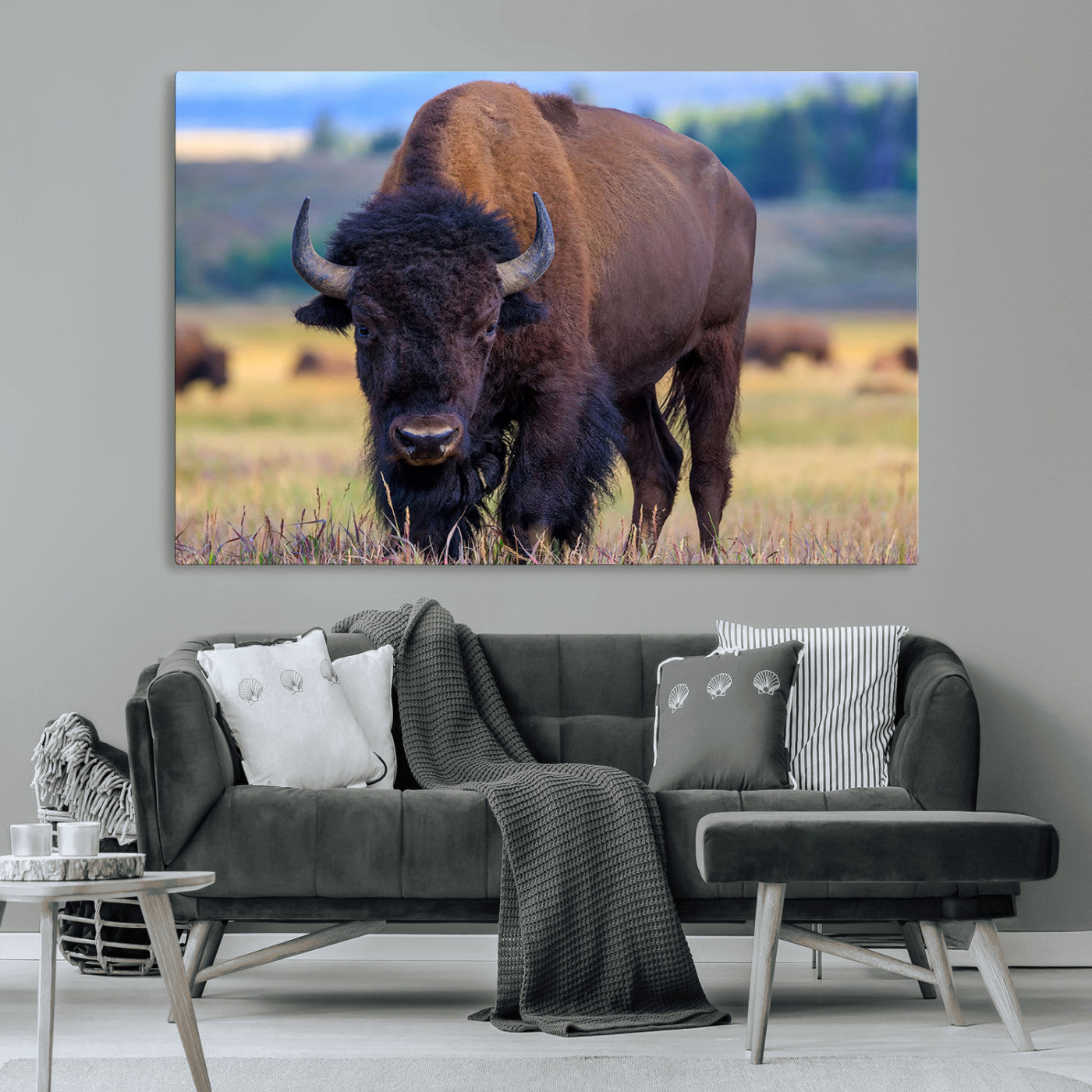 Close-up of a strong American bison standing in a grassy prairie with a blurred herd in background, perfect for rustic lodge decor.