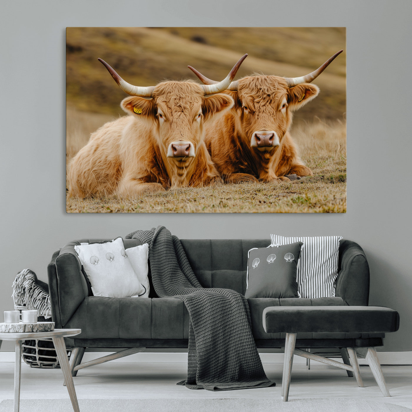 Two Highland cows resting on a golden field with soft focus hills, ideal for rustic farmhouse or cozy cabin style decor.