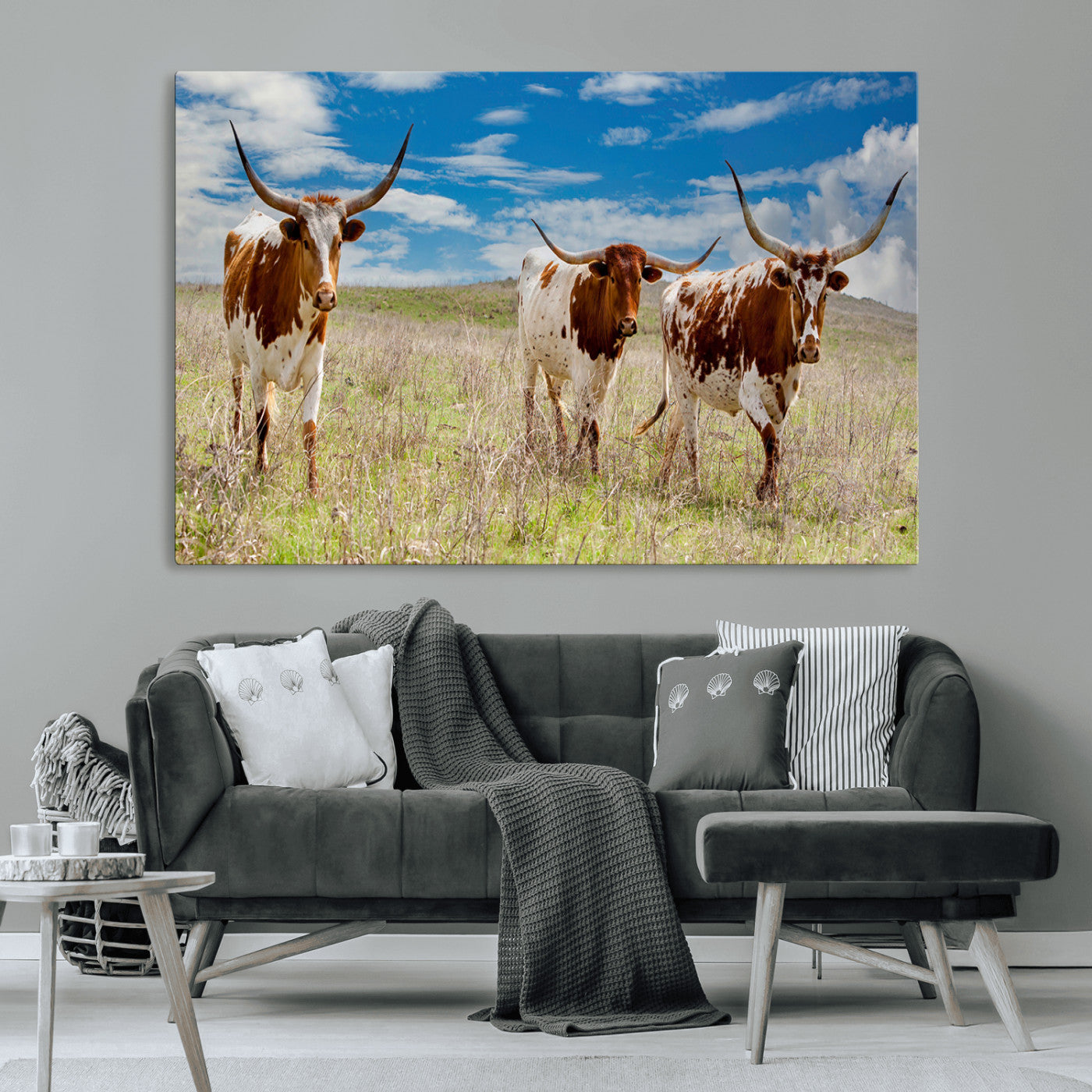 Three Texas longhorn cattle standing in dry grass under a bright blue sky, ideal for farmhouse or western rustic home decor.