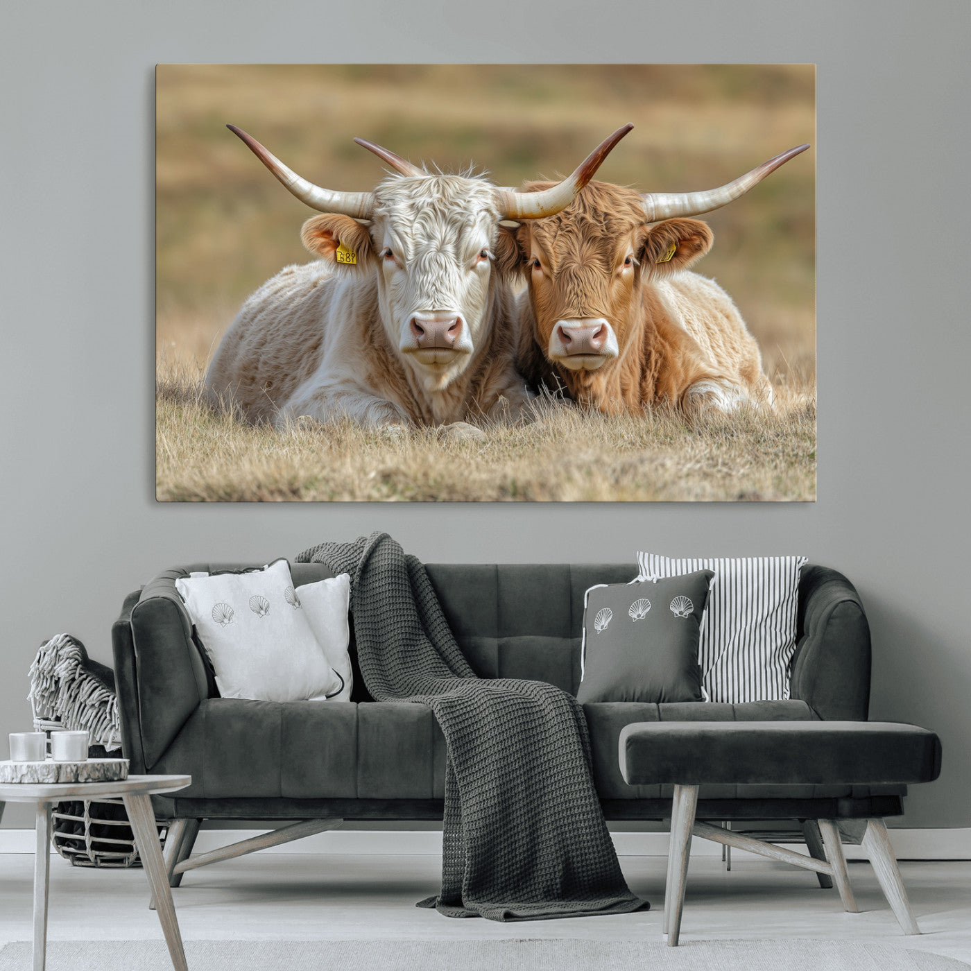 Two cows laying closely in a dry grassy field, captured in soft light, perfect for rustic farmhouse or western style home decor.